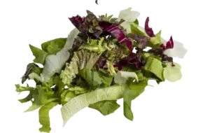 Vapiano slamix zak 1kg